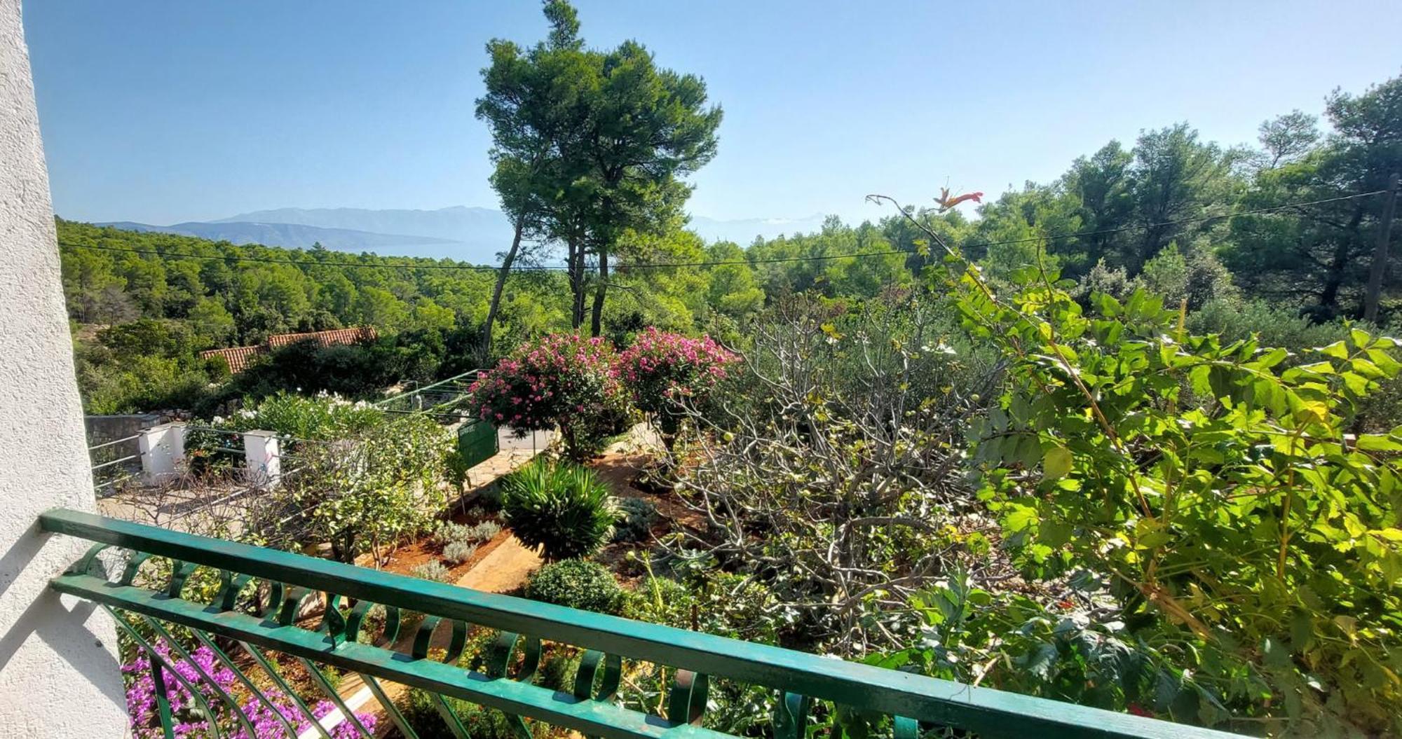 Basina Apartman *