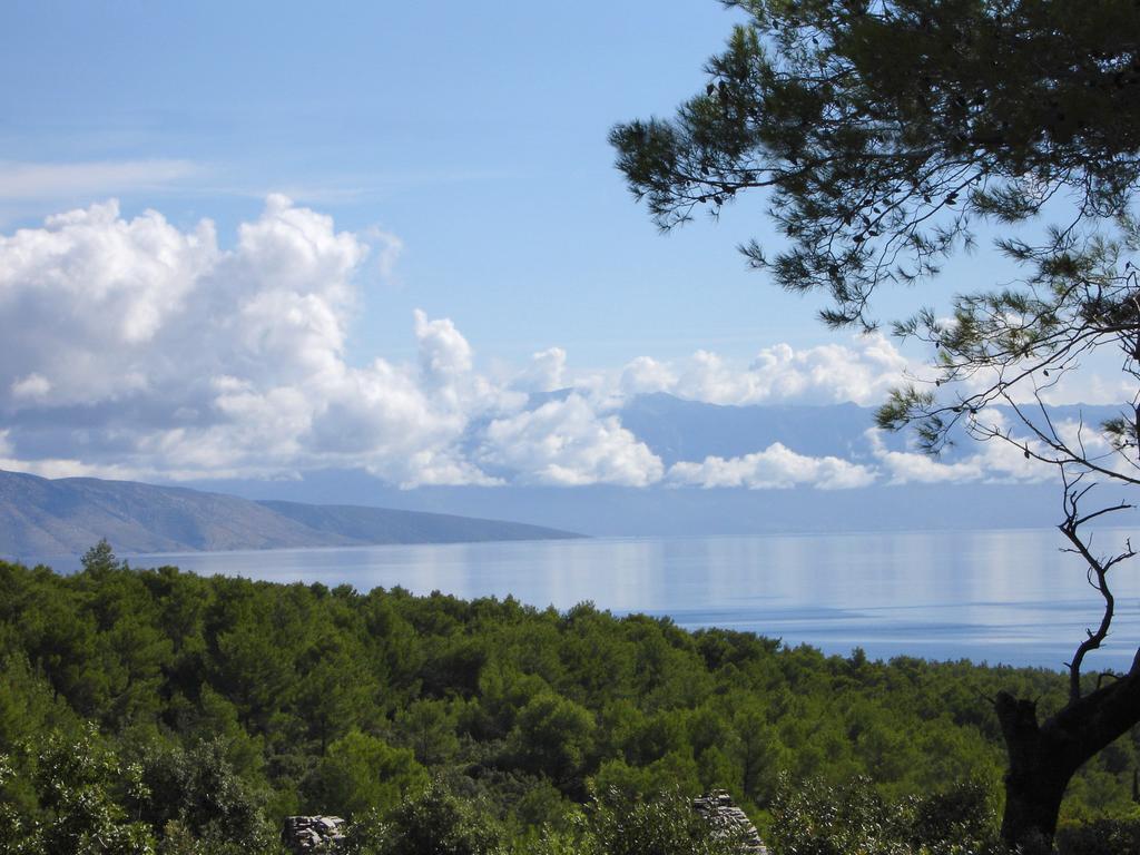Apartman Basina *