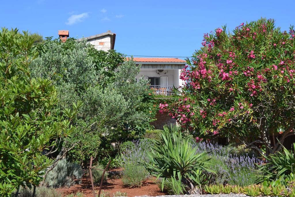 Apartman Basina