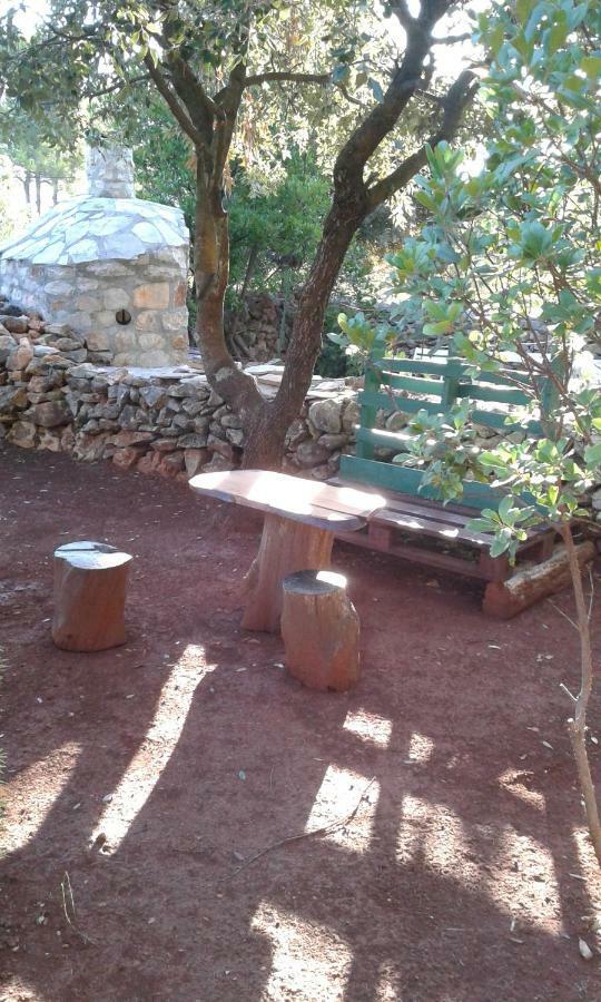 Apartman Basina *