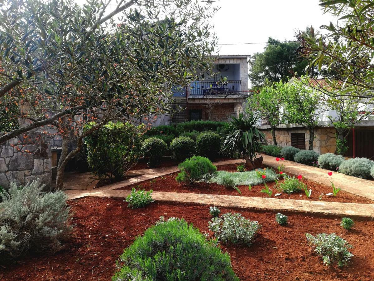 Basina Apartman *