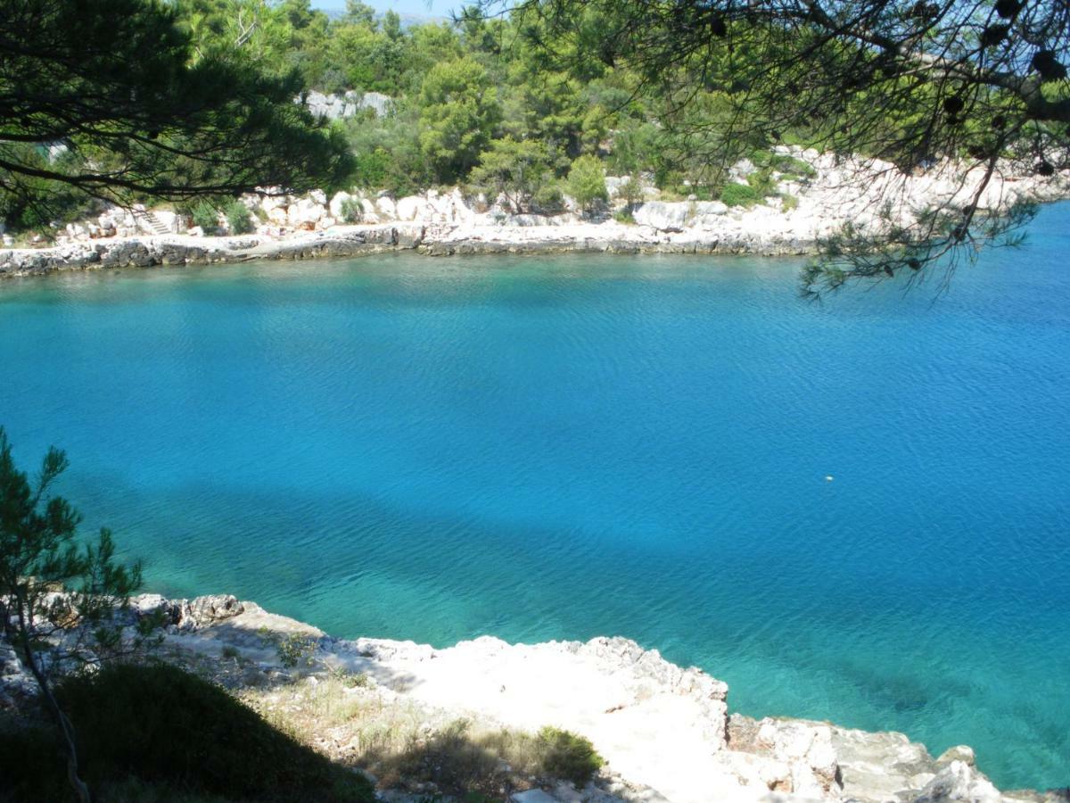 Apartman Basina *