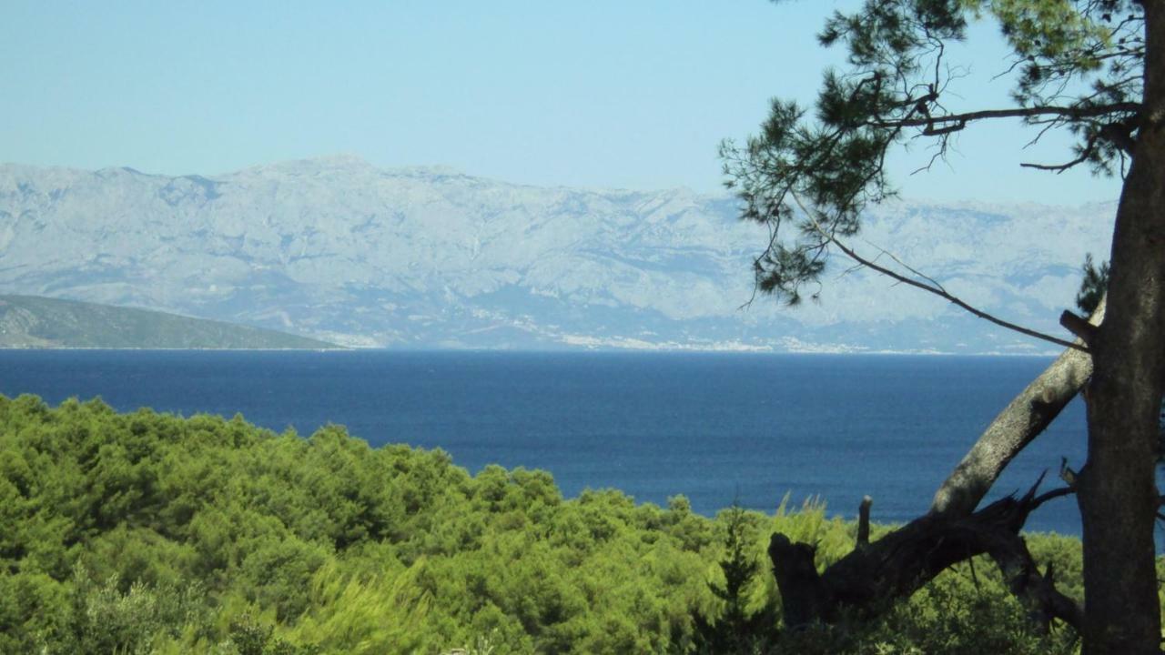 Basina Apartman *